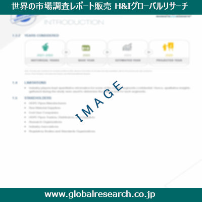 市場調査レポートのイメージ