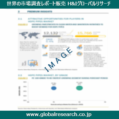市場調査レポートのイメージ