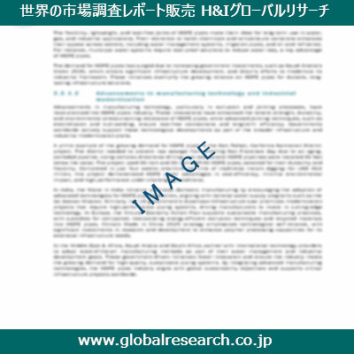 市場調査レポートのイメージ