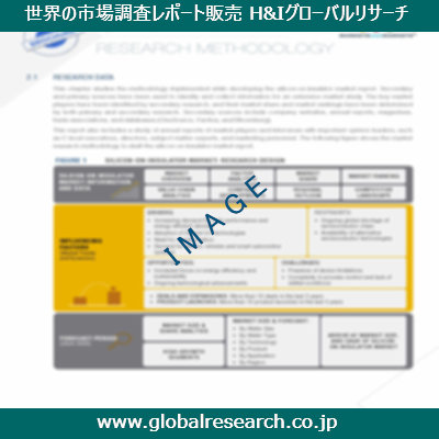 市場調査レポートのイメージ