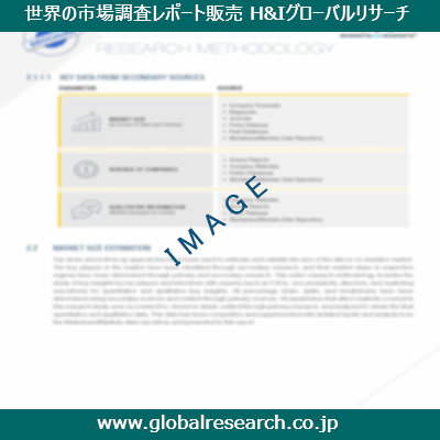 市場調査レポートのイメージ