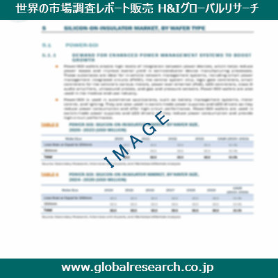 市場調査レポートのイメージ