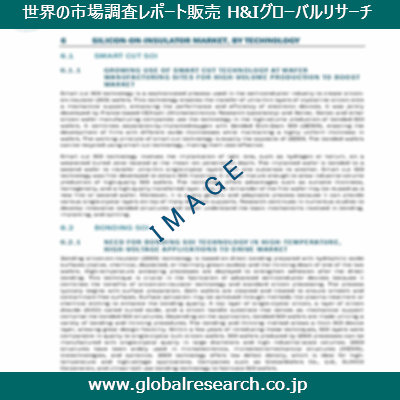 市場調査レポートのイメージ