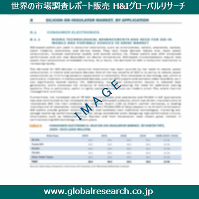 市場調査レポートのイメージ