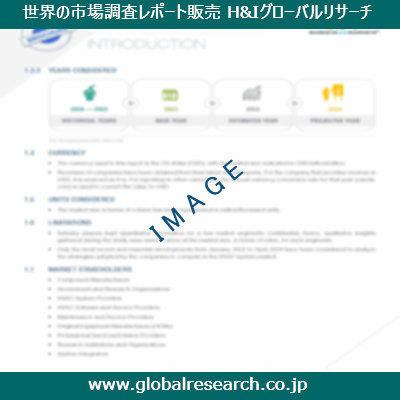 市場調査レポートのイメージ