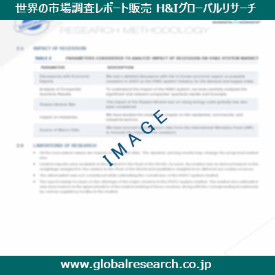 市場調査レポートのイメージ