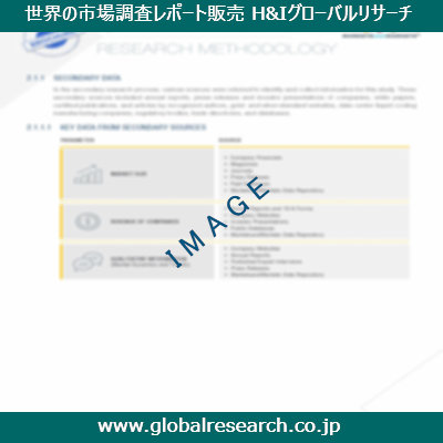 市場調査レポートのイメージ