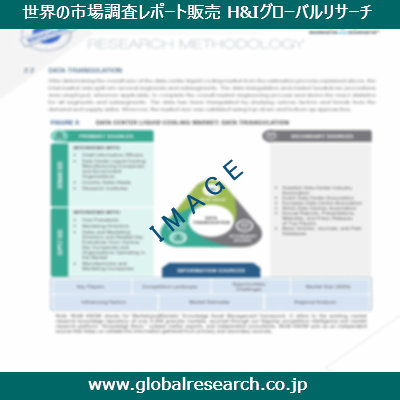 市場調査レポートのイメージ