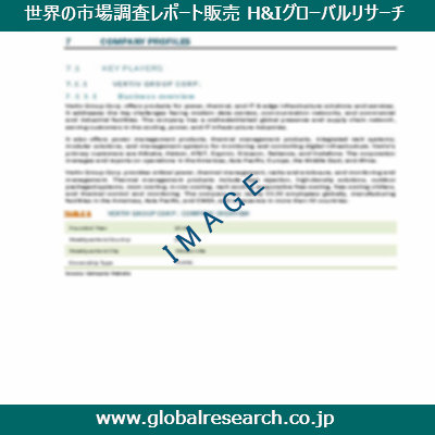 市場調査レポートのイメージ