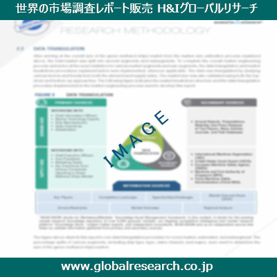 市場調査レポートのイメージ