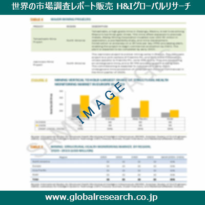 市場調査レポートのイメージ