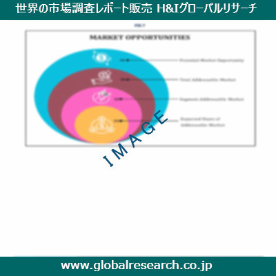 市場調査レポートのイメージ