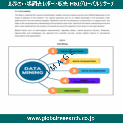 市場調査レポートのイメージ