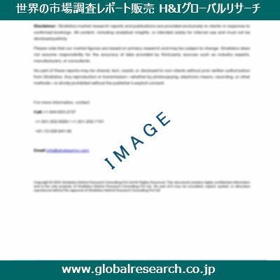 市場調査レポートのイメージ