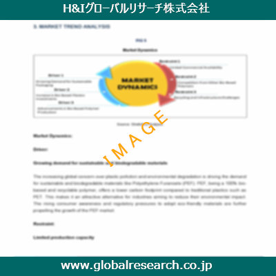 市場調査レポートのイメージ
