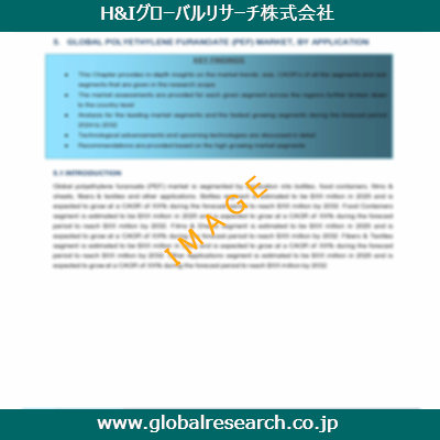 市場調査レポートのイメージ