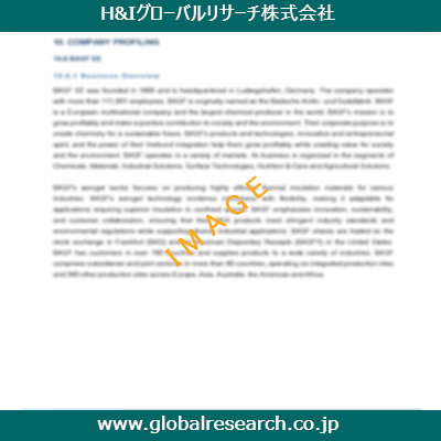 市場調査レポートのイメージ