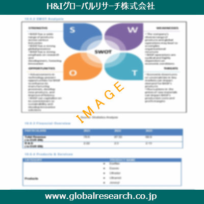 市場調査レポートのイメージ