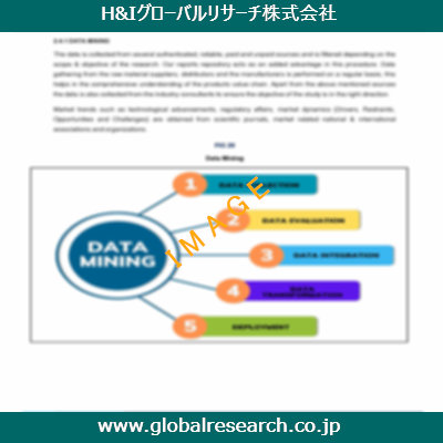 市場調査レポートのイメージ