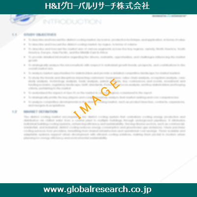 市場調査レポートのイメージ