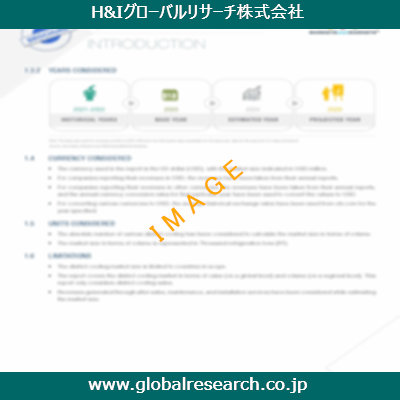市場調査レポートのイメージ