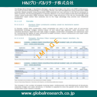 市場調査レポートのイメージ