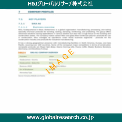 市場調査レポートのイメージ