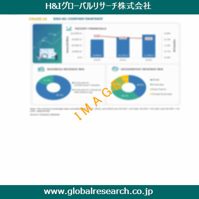 市場調査レポートのイメージ