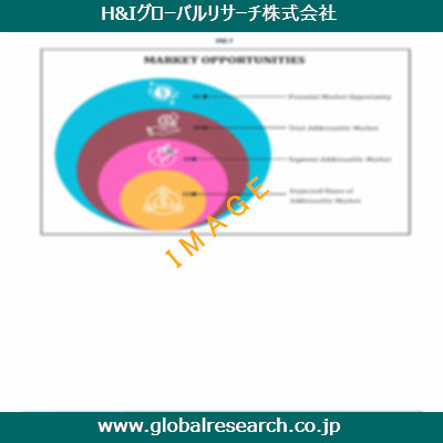 市場調査レポートのイメージ