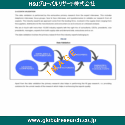 市場調査レポートのイメージ
