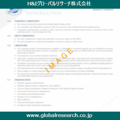 市場調査レポートのイメージ