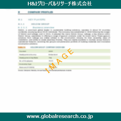 市場調査レポートのイメージ