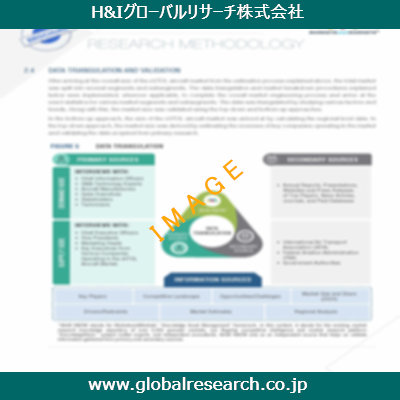 市場調査レポートのイメージ