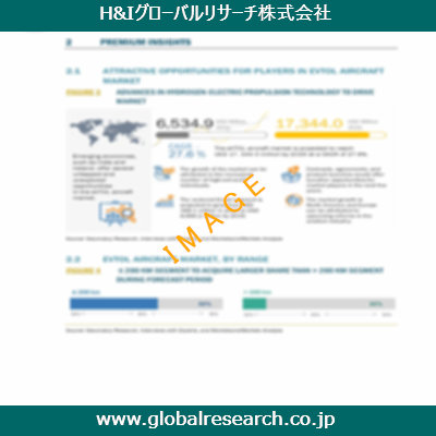 市場調査レポートのイメージ