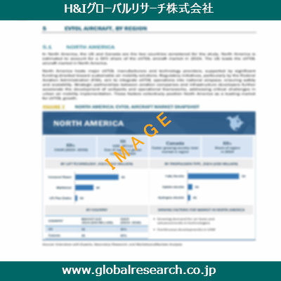 市場調査レポートのイメージ