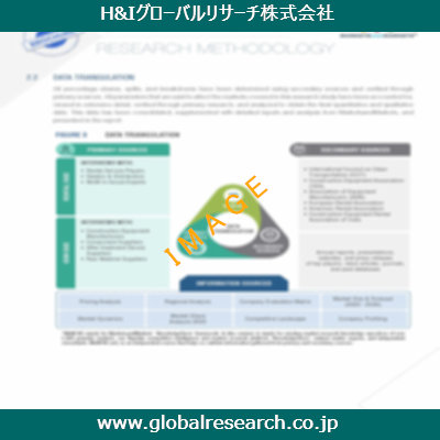 市場調査レポートのイメージ