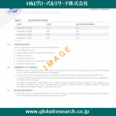 市場調査レポートのイメージ