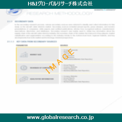 市場調査レポートのイメージ
