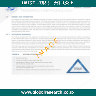 市場調査レポートのイメージ