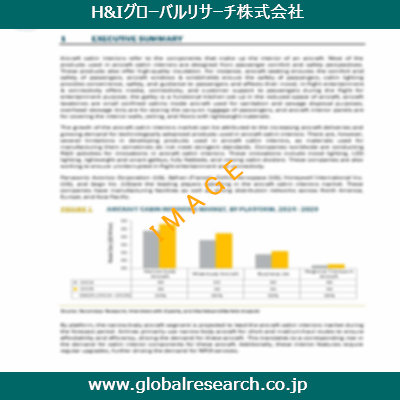 市場調査レポートのイメージ