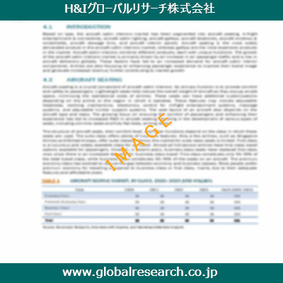 市場調査レポートのイメージ