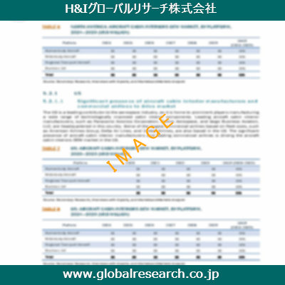 市場調査レポートのイメージ