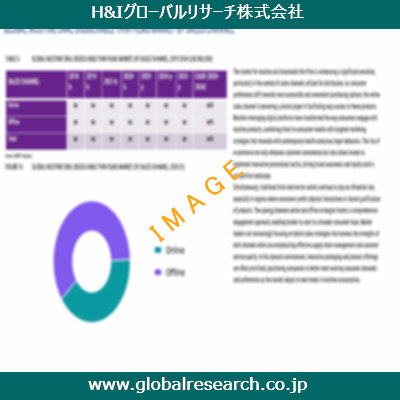 市場調査レポートのイメージ