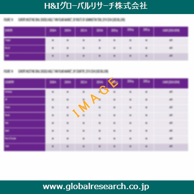 市場調査レポートのイメージ