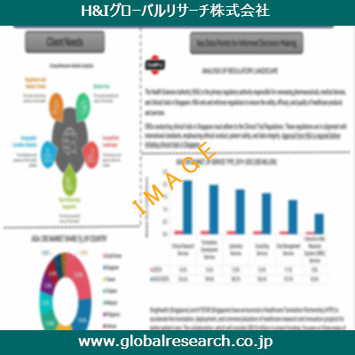 市場調査レポートのイメージ