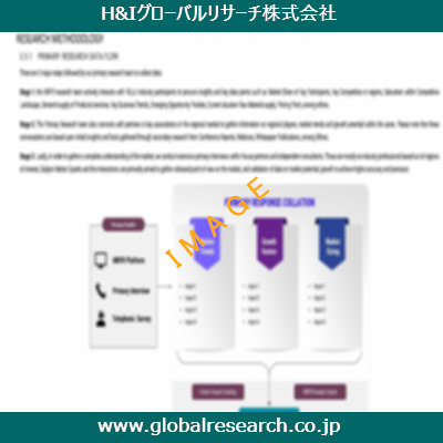 市場調査レポートのイメージ