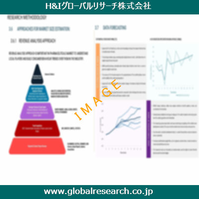 市場調査レポートのイメージ