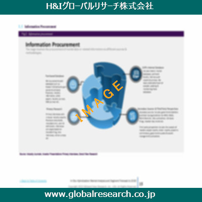 市場調査レポートのイメージ