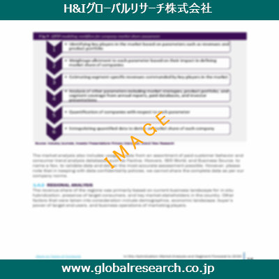 市場調査レポートのイメージ