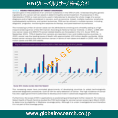 市場調査レポートのイメージ